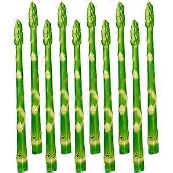 10pcs Künstlicher Spargel Realistische Kunstspargel Spargel Requisiten-Gemüsemodelle