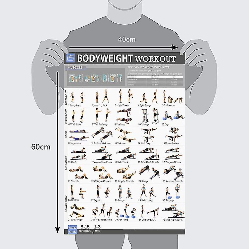 thumbnail image 2 of Palace Learning 3 Pack, Dumbbell Workouts Posters Volume 1 & 2 Barbell Exercises - Set Of 3 Workout Charts (LAMINATED, 18" X 24 2 of 13