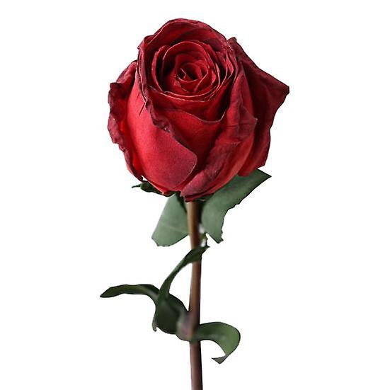 Artificial Rose Flower Non-Withering Create Atmosphere Long Lifespan Useful Single Branch Fake Valentine's Day Gift for Household