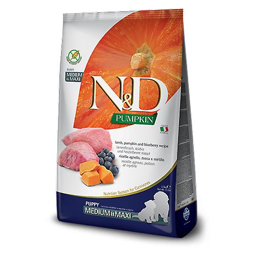Farmina Cane N&D Græskar Hvalp Medium&maxi Lam, græskar & blåbær 2,5 kg