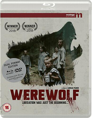 بالذئب دي في دي (2019) كميل بولنيسياك بانيك (دير) شهادة 15 2 أقراص جديد - المنطقة 2