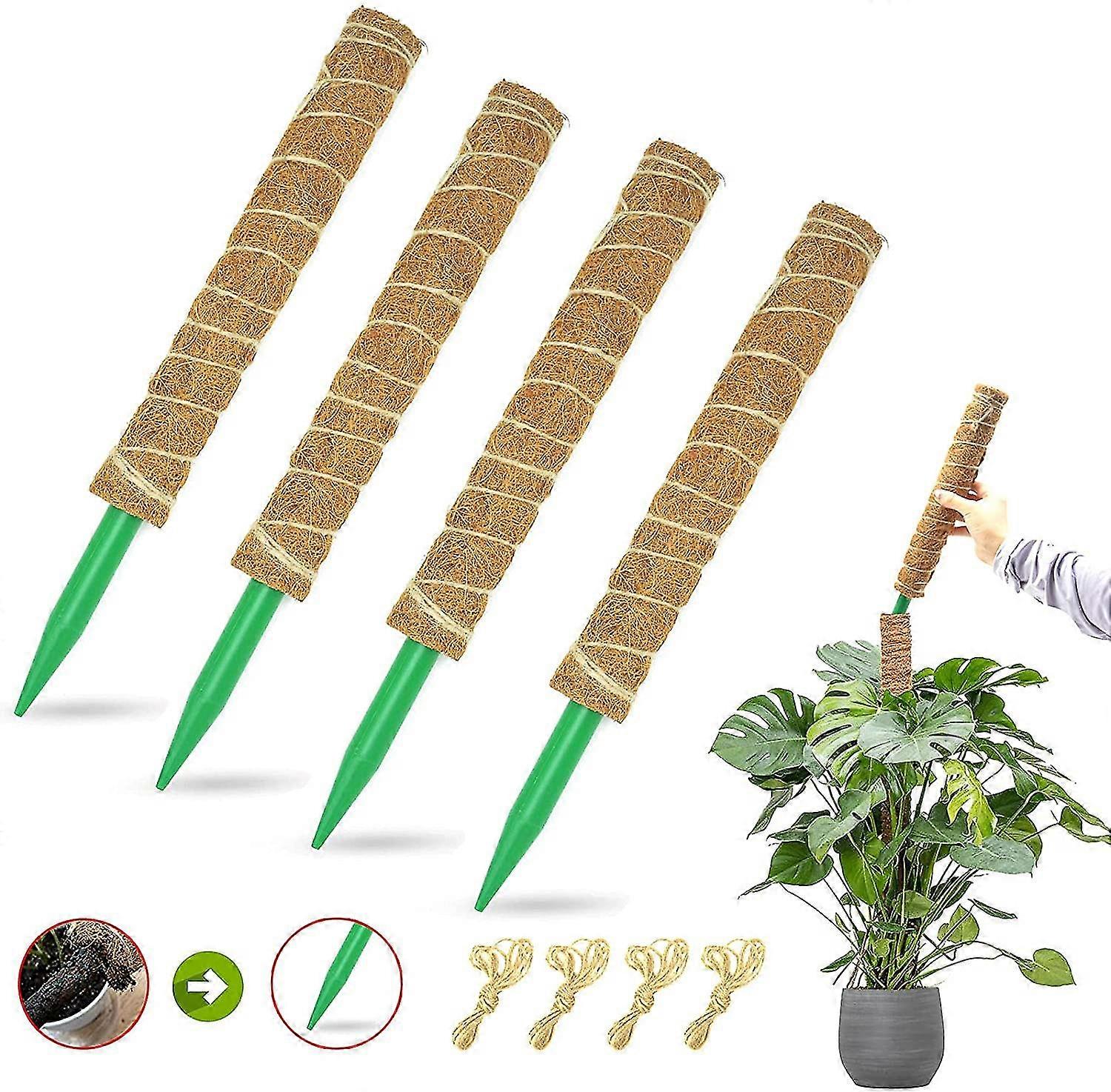 Moosstange fr Pflanzen Monstera, 60 Zoll Moosstangen fr Kletterpflanzen  mit Kunststoffstange, 4 Pack 16 Zoll Coco Pflanze Untersttzung fr  Klettern Indoor Topf | Fruugo AT