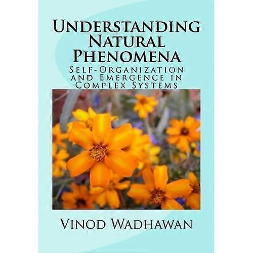 Understanding Natural Phenomena: Self-Organization and Emergence in Complex Systems