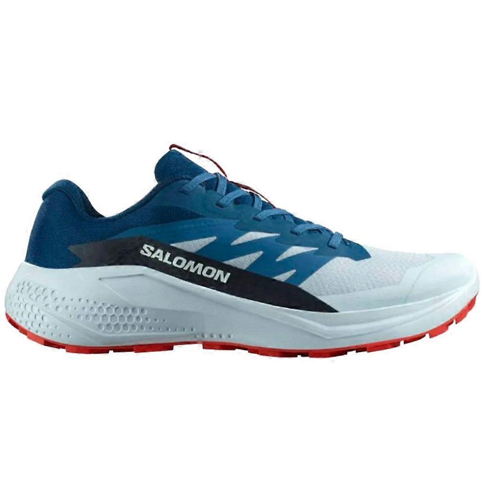 Shoes Salomon Alphaglide 477243