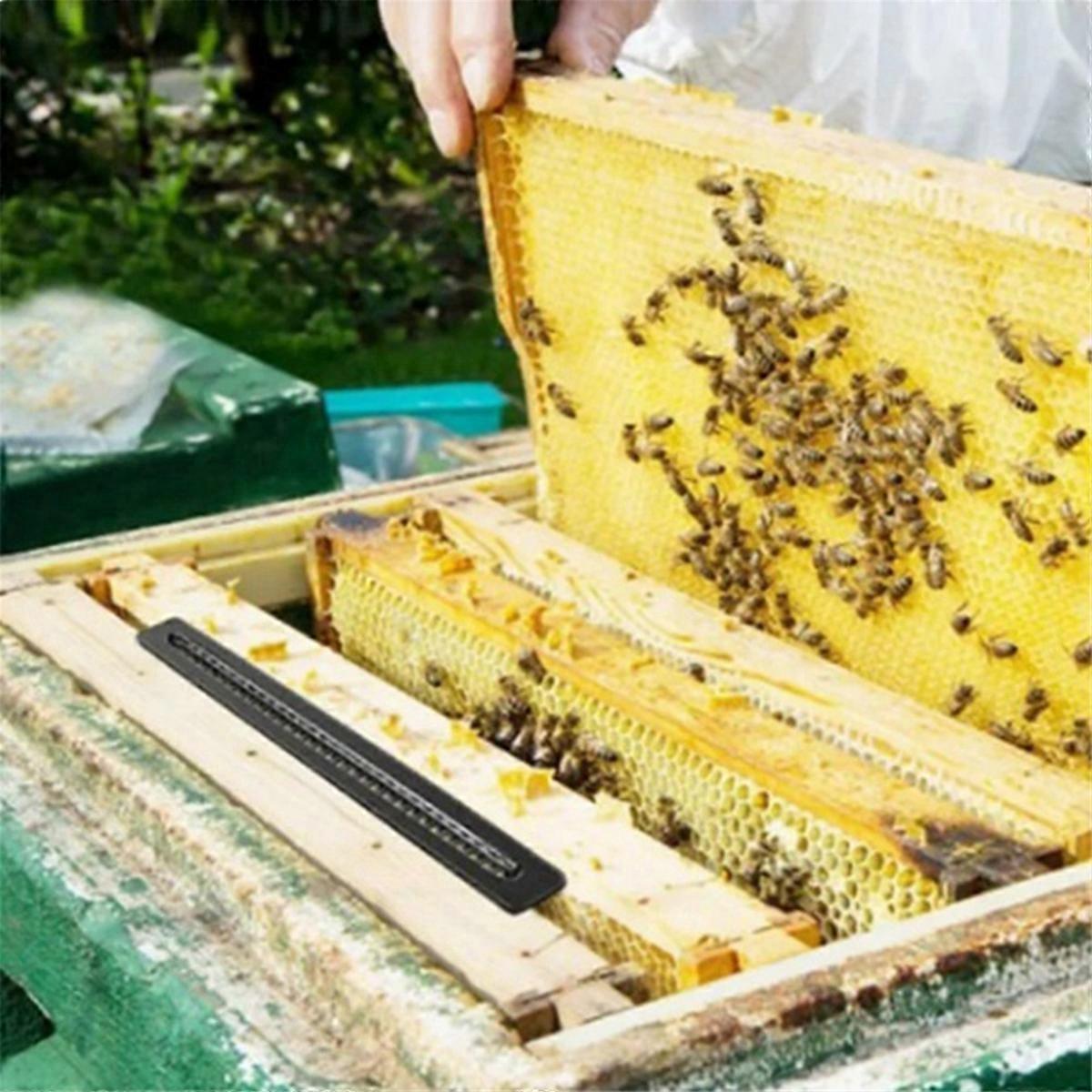 Small Bee Hive Mite Traps Control Supplies