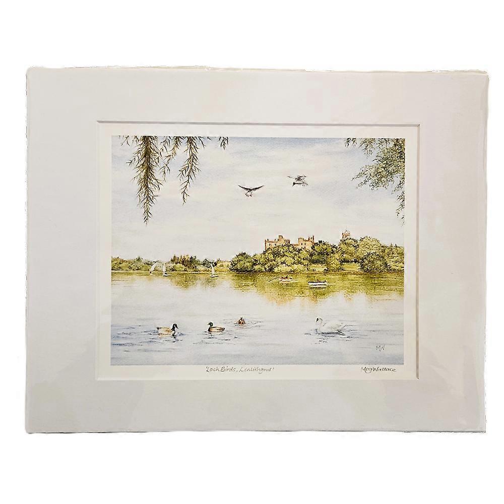 Loch Birds, Linlithgow Signed Print (14"x11") by Meg Wallace Art