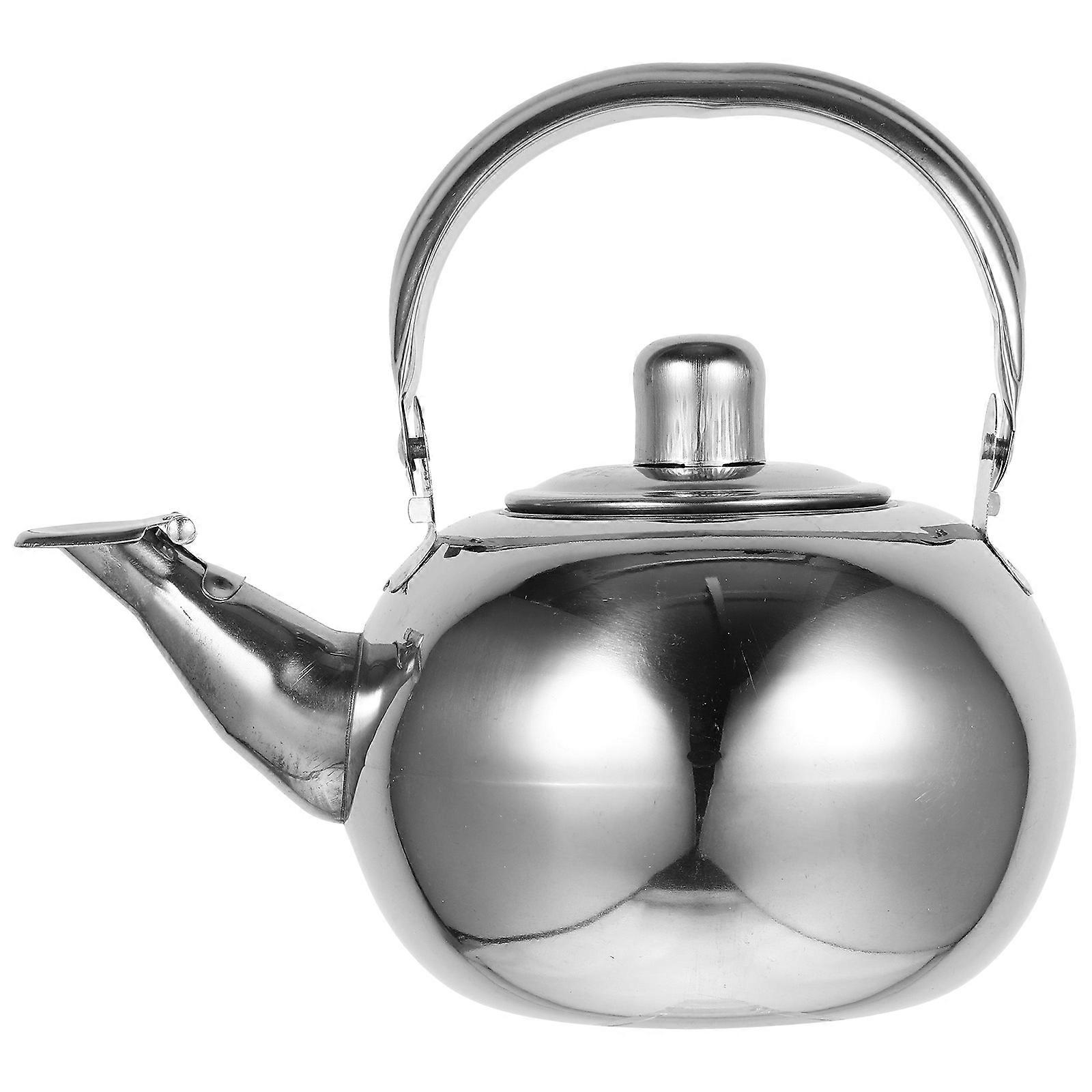 Stainless Steel Coffee Kettle with Handle and Filter for Tea Brewing