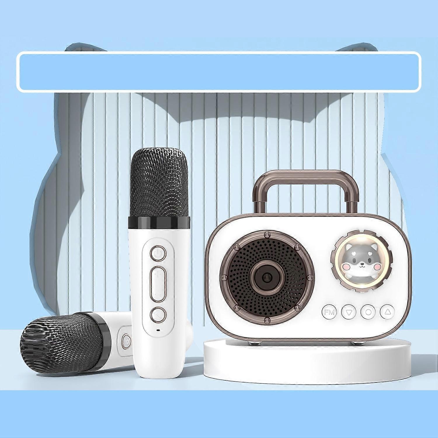 HiFi Bluetooth 5.3 Speaker Support FM, with 2 x Microphone