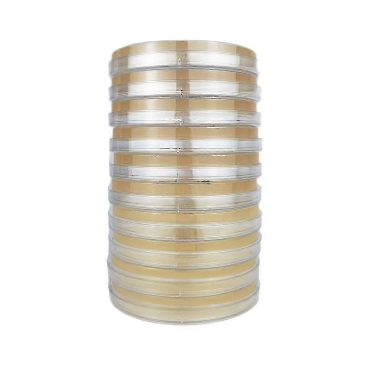 Potato Dextrose Agar Dish, 10PC Set for Mushroom Cultivation, Home Testing or Science Fair Projects