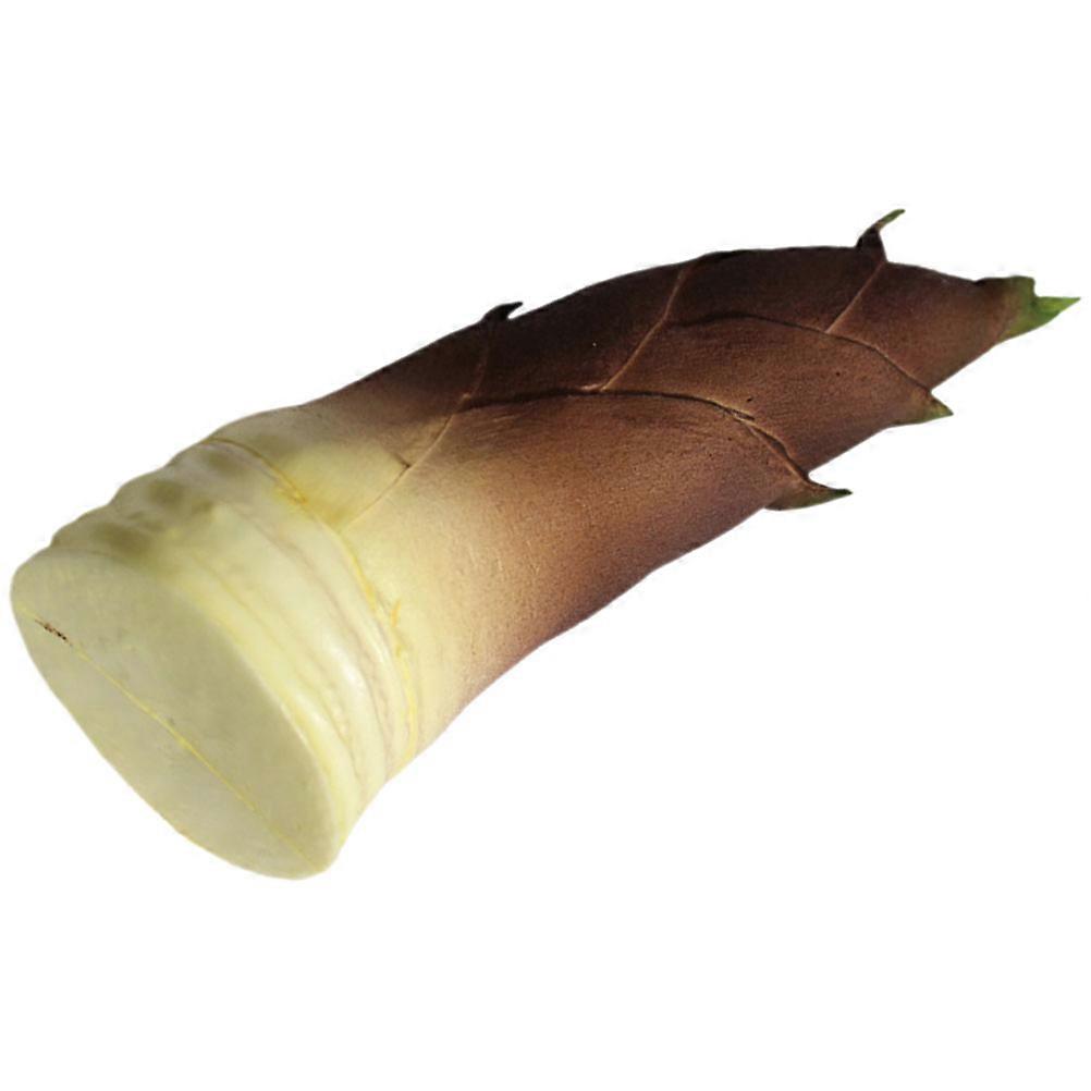 in Spring Model for Store Display and Decoration 2Pcs