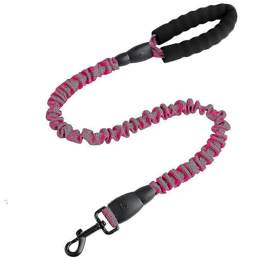 Dog Carrier Lead With Reflective Extendable