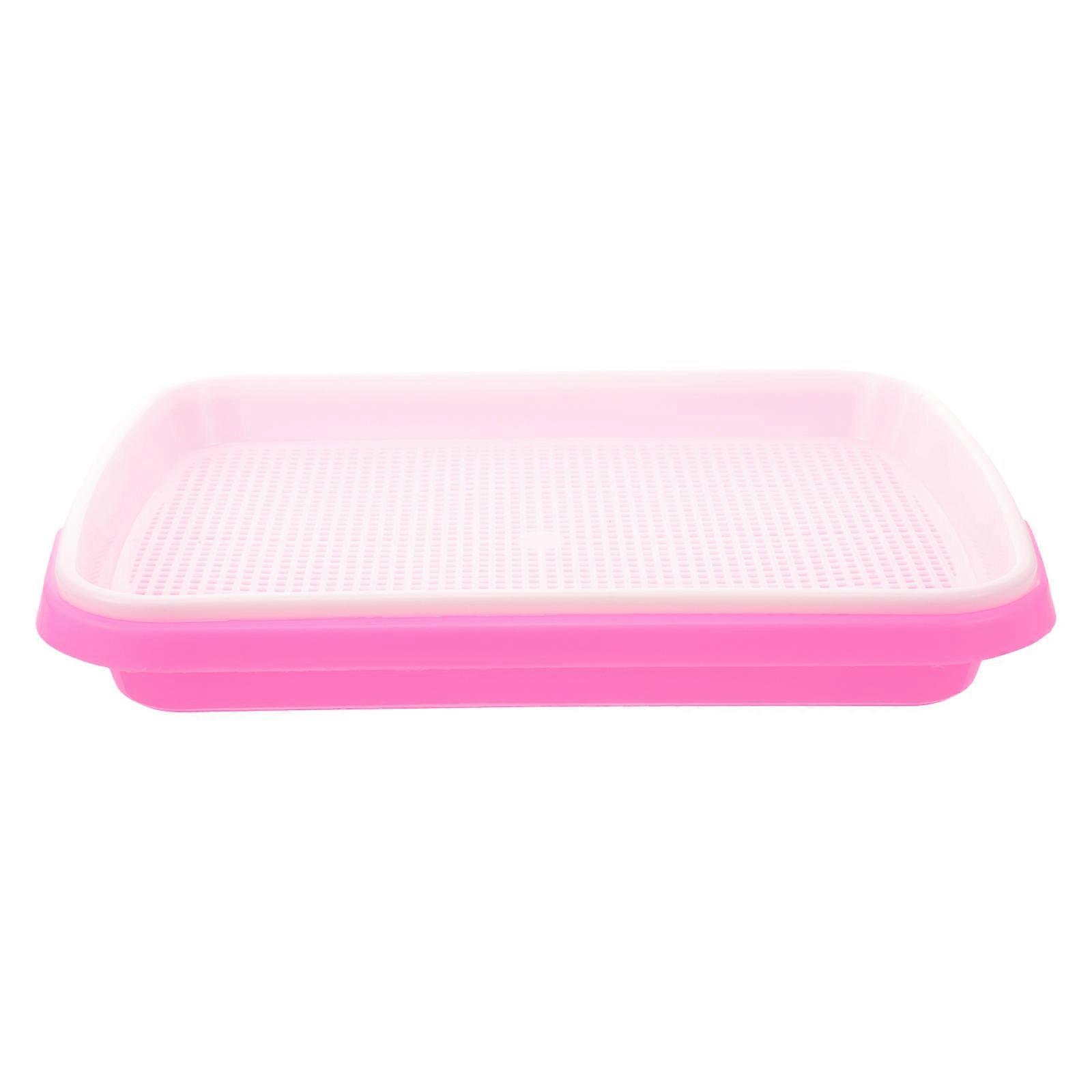 Pink sprouter Tray for Planting Made from PP Material 35x26x5cm