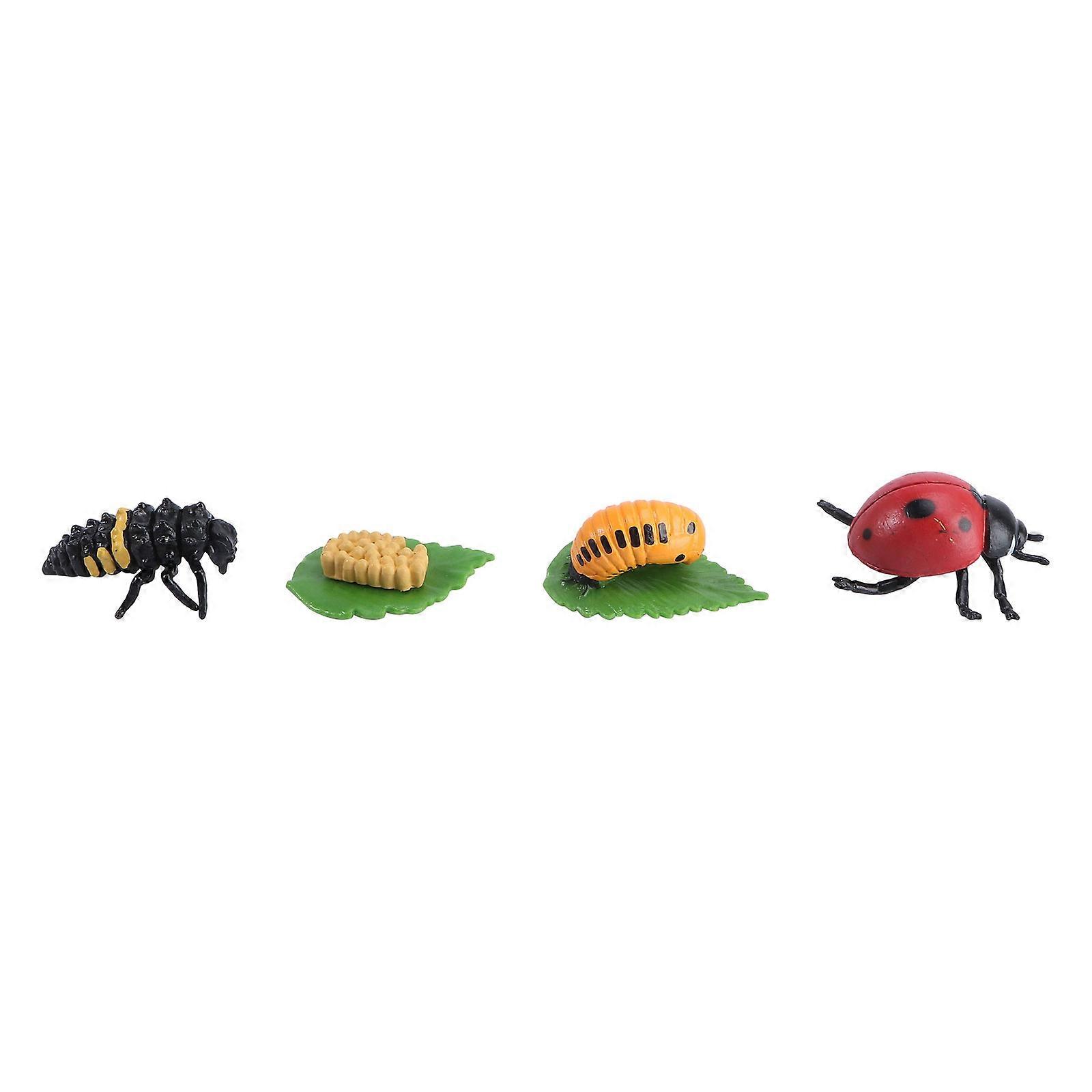 Animal Display Models Toy Model Set for Kids 1Set Simulation Insect Life