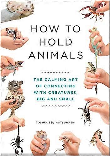 How to Hold Animals