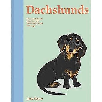 Gravhunde: Hvad gravhunde vil have: med deres egne ord, woofs og logrer (Illustreret hundepleje)