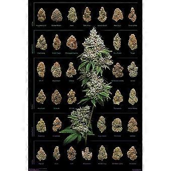 DANK NUGS - Rompecabezas de madera de marihuana - HOJA DE MARIHUANA PARA FUMAR 0112 -A1085