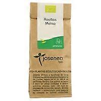 Rooibos Melissa Kraft 10 units