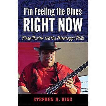 Tunnen nyt bluesia Blues-matkailu ja Mississippin suisto