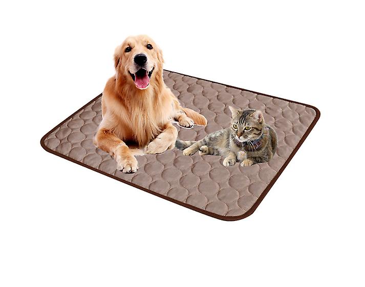 INF Pet Cooling Mat if necessary for a comfortable pet