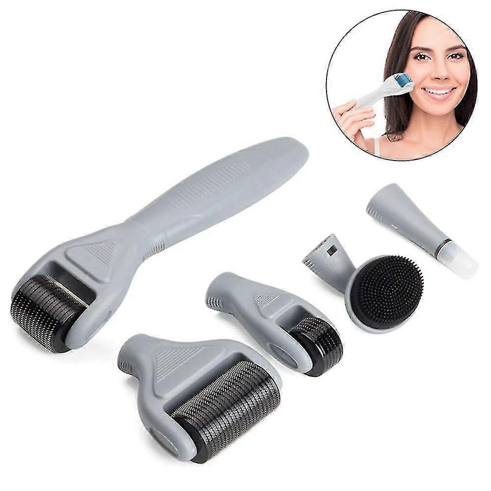 6 In 1 Microneedles Derma Roller For Face Care With Micro Needles, Stainless Steel Microneedles For Pregnancy Stretch Marks, Hair Loss And Anti-wrinkl