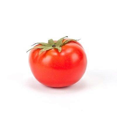 Tomato, Red, Artificial Fruits Fake Food, Box of 12
