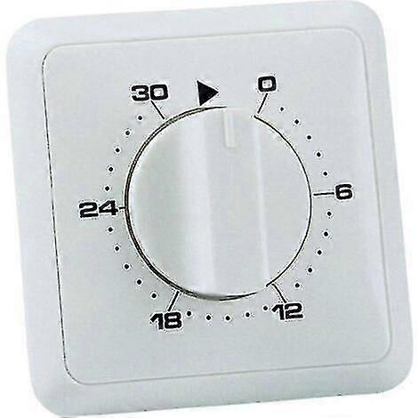 Recessed Mounting Analog Day Programmable Mechanical Timer with 30-Minute Setting