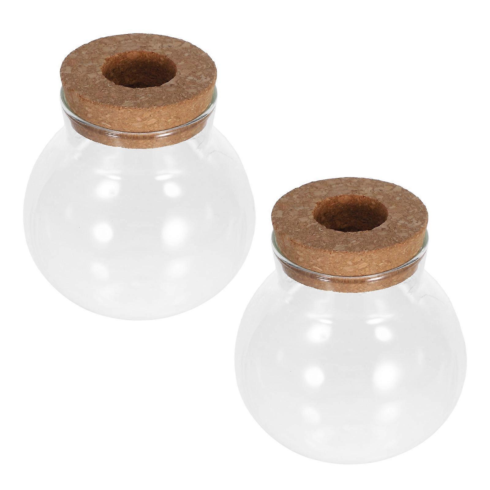 Glass Pots For Plants Desktop Planter Mothers Colleagues Friends 480ml Capacity Transparent 2Pcs
