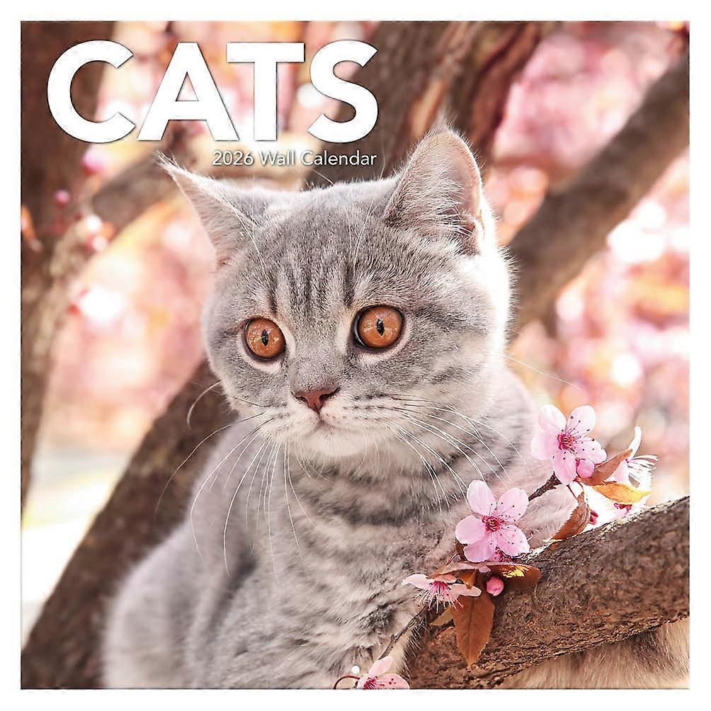 Tl Turner Cats Calendar 2026