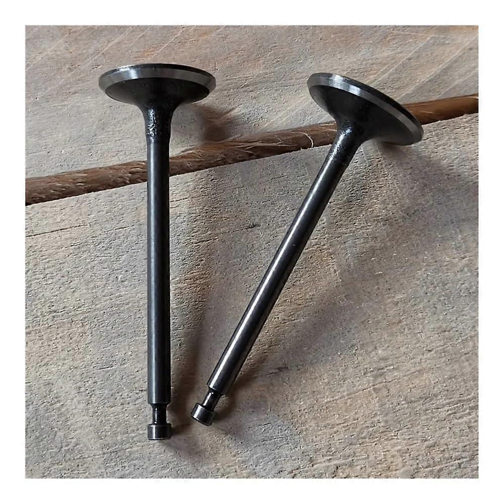 Valve Inlet And Exhaust 156F Compatible With GX100