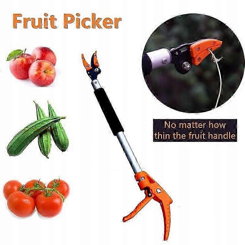 Garden Tree Pruning Shears Tool D