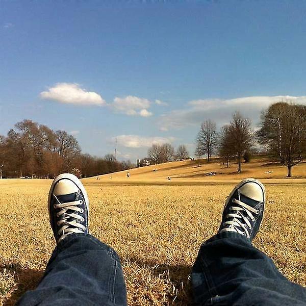 Noise Cancelling Wired Earphones