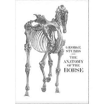 L’anatomie du cheval