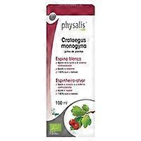Hawthorn Extract (Crataegus) Bio 100 ml