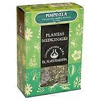 Burnet 55 g