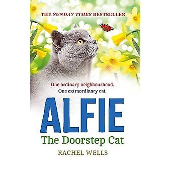 Alfie the Doorstep Cat
