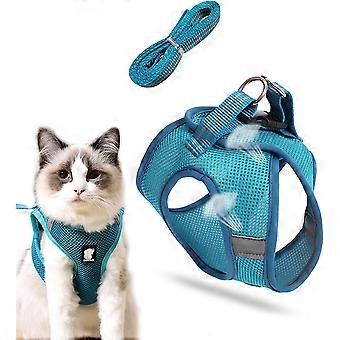 Laisse pour chat avec harnais pour chats marchant en plein air