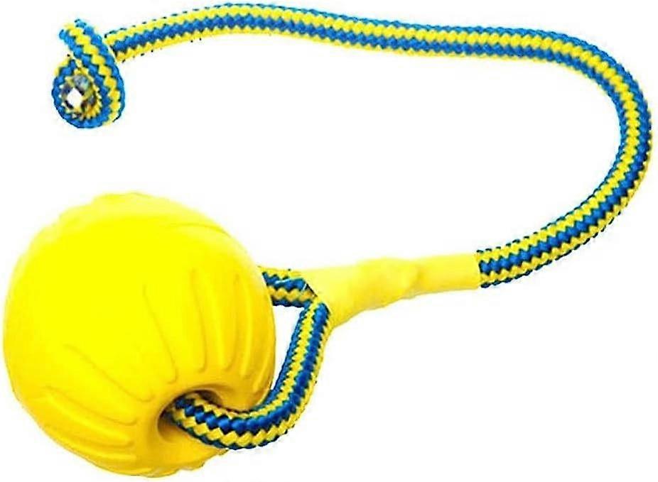 Puppy Funny Training Ball Chew Toys Play Fetch Solid with Carrier Rope Pet Dog Toy/M Code