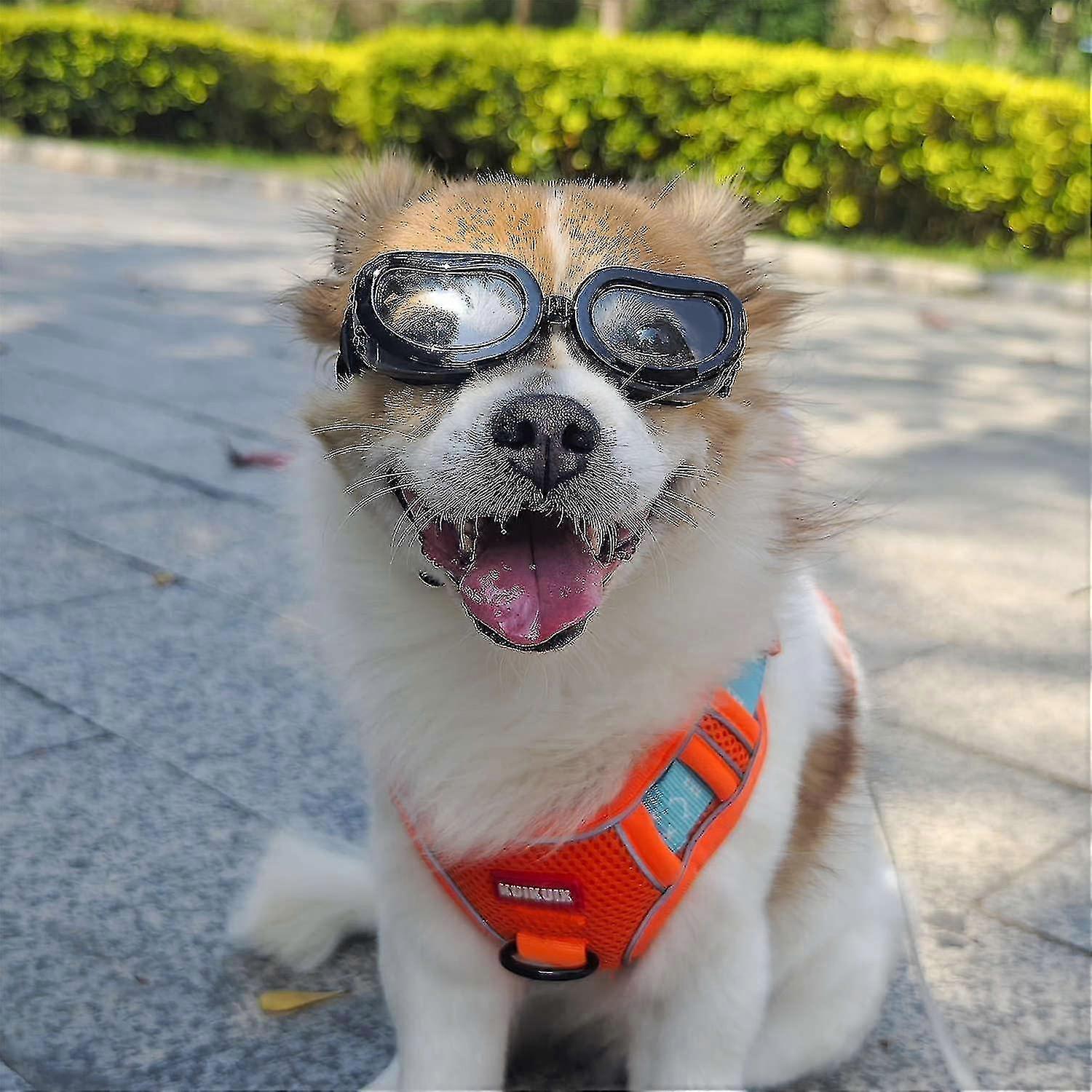 Dog Sunglasses Small Breed, Uv Protection Small Dog Goggles, Wind Dust Proof Small Goggles With Adjustable Straps