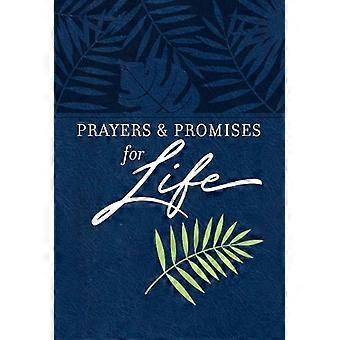 Orações e Promessas para a Vida - Broadstreet Publishing