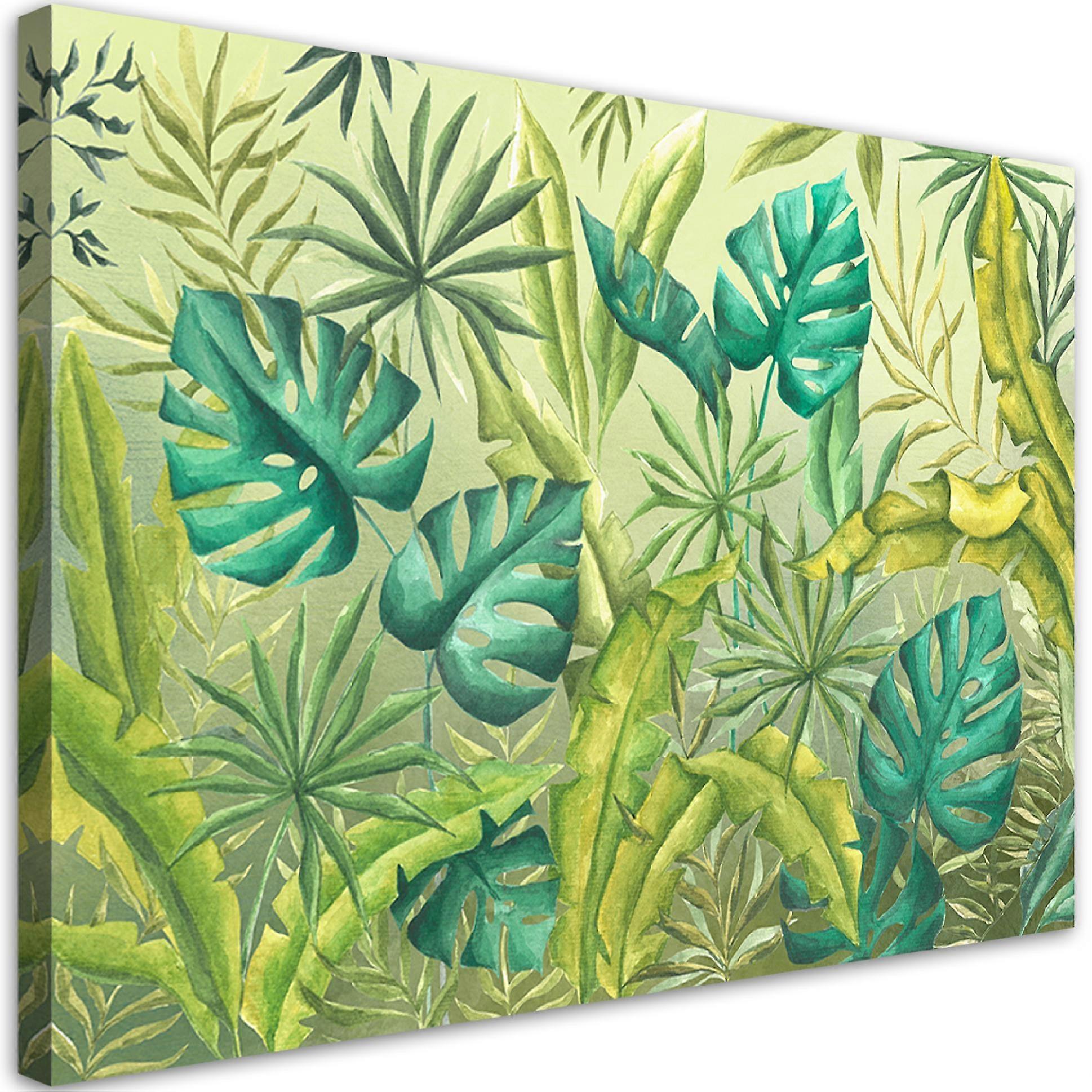 Lienzo, Hojas de Monstera - 60x40
