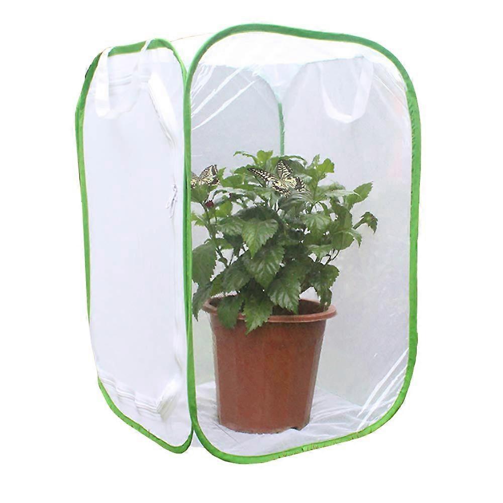 Insect Cage Butterfly Insect Enclosure Breeding Cage Plant Net