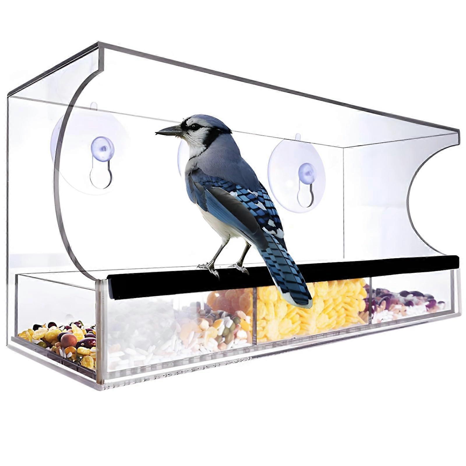Squirrel and bird feeder station with suction cups, for outdoor, acrylic, 30 x 11 x 32.5 cm