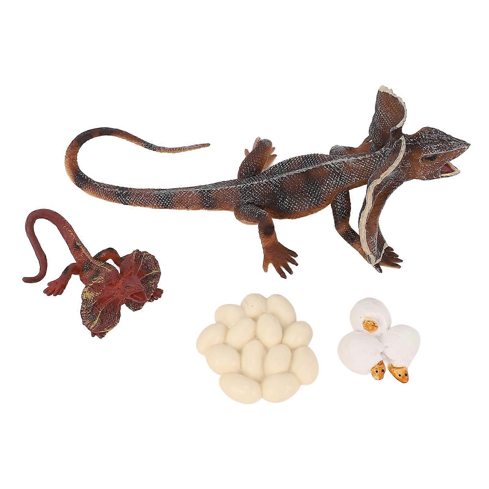 4pcs Simulation Animal Model Simulation Lizard Growth Ornament Children Cognitive Growth Cycle Animal Toys for Children