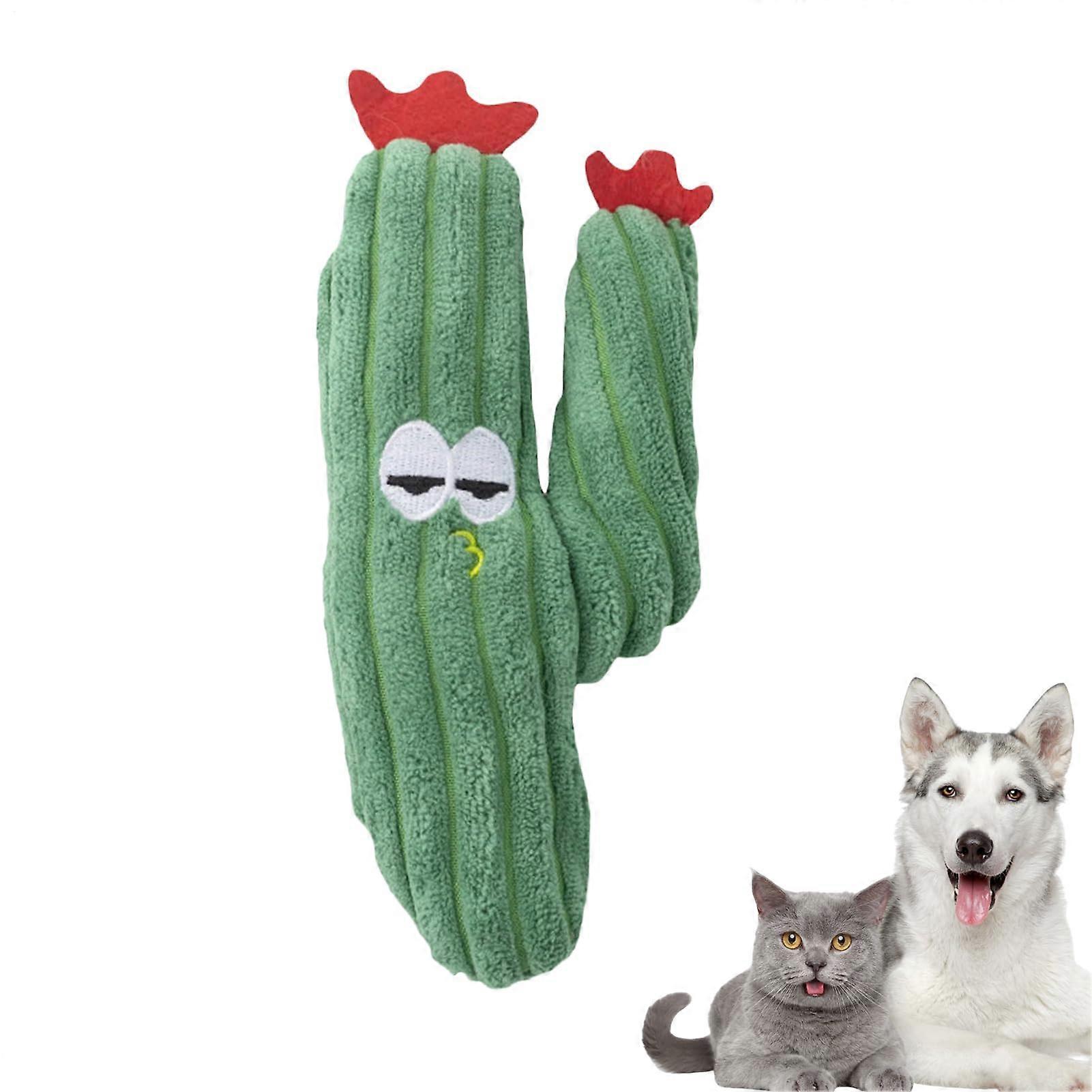 Catnip Toys for Cats, Kitten Toys Interactive, Plush Realistic Cactus