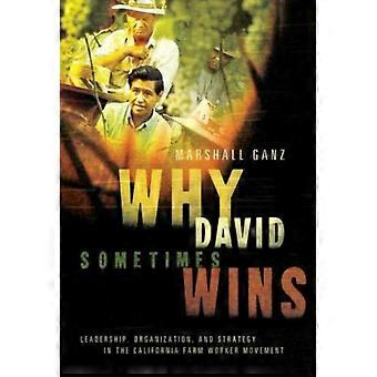 Why David Sometimes Wins Leadership Organization And Strategy In The Calif - Marshall Ganz