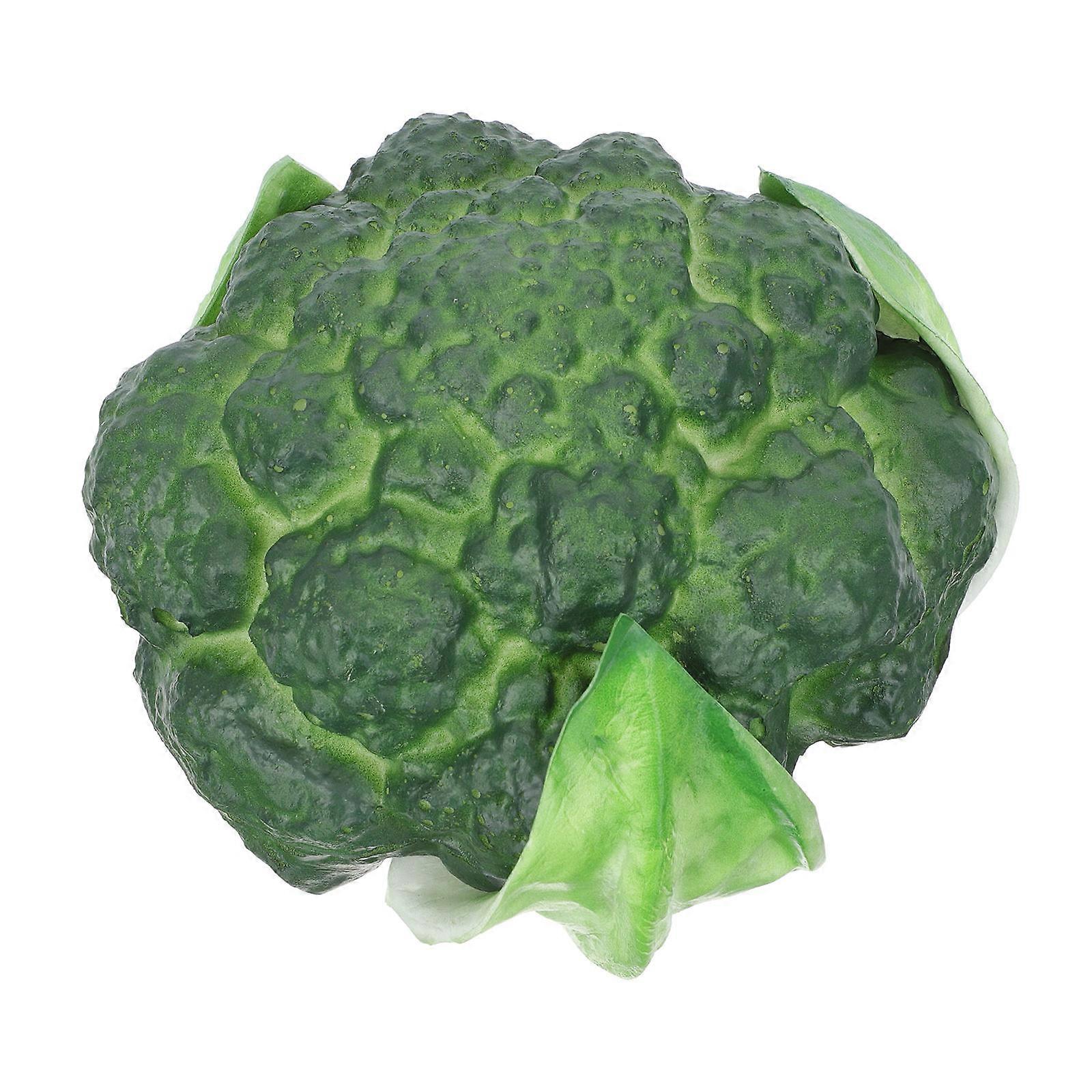 Lifelike Broccoli Adornment for Decoration Artificial Broccoli Model 1 Piece