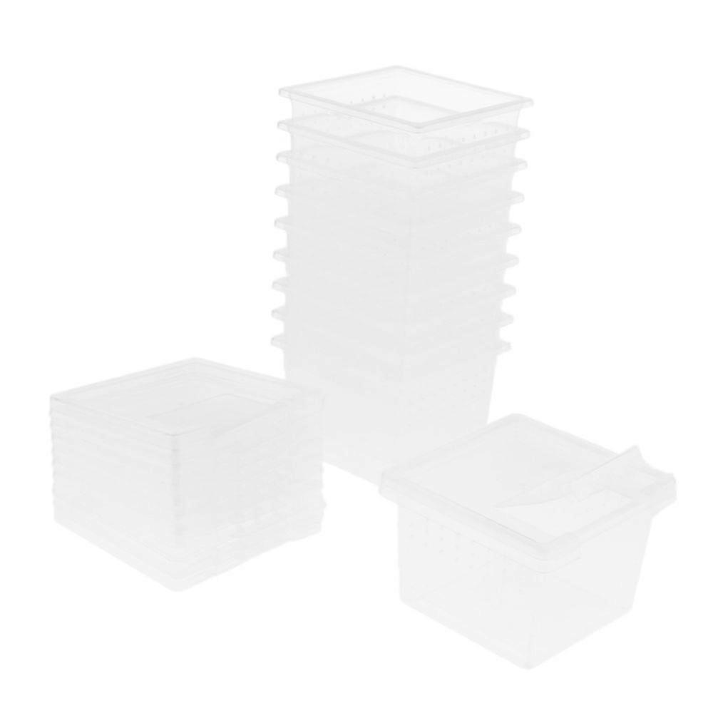 Reptile food container