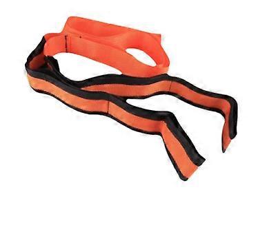 Double Person With Mobile Lift For Safe Movement Of Fixed Furniture And Heavy Objects,Durable Carrying With Tension Strap