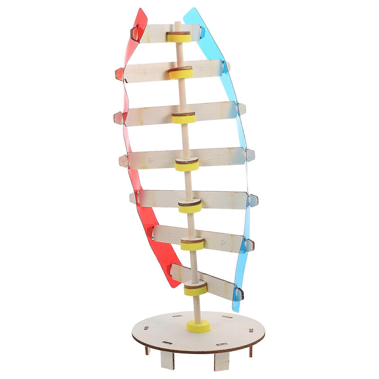 Gene Model Plastic Human Genes Model for Science Learning