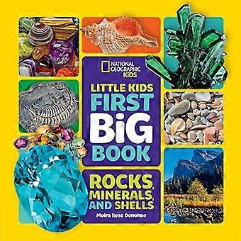 Little Kids Primo Grande Libro di Rocce, Minerali e Conchiglie (National Geographic Kids) (National Geographic Kids)